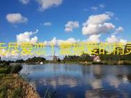 备战U23亚洲杯！U22国足大名单：王钰栋领衔 拜合拉木入选
